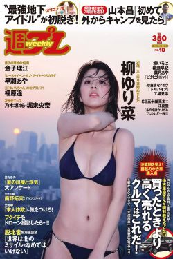 电车魔女8